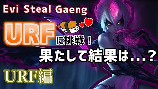 【ゲンとスティールでURF】DFMメンバーでURFに挑戦！果たして結果は・・・？【DFM Evi解説】