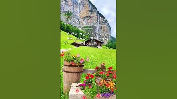 سورة الأنعام مع شرح محمد طه الجنيد Muhammad Taha Al Junaid