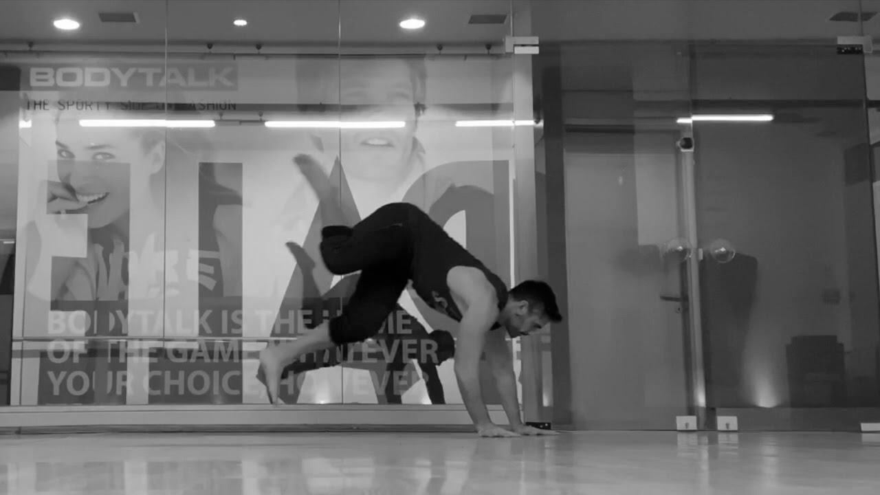 Animal Movement King of Nature - YouTube