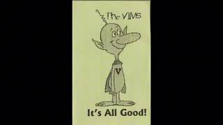 The V I M S Gay DEMO