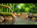 Relaxing Piano Music: Water Sounds, Sleep Music, Sleeping Music, Relaxing Music ★77🍀