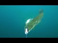 Pike trolling on Italian lake (Lucci a traina su un lago Italiano)