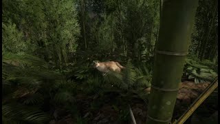 Green Hell Puma's are ScArY