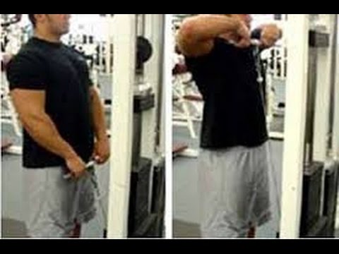 Shoulders cable upright row workout with expert trainer(male n female)