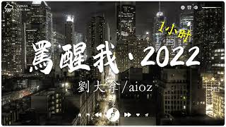 [ 1小时 ] 罵醒我·2022 - 劉大拿/aioz『Babe能不能抓住我，当我的心被搞乱了』2022抖音歌曲 (一小时循环版)