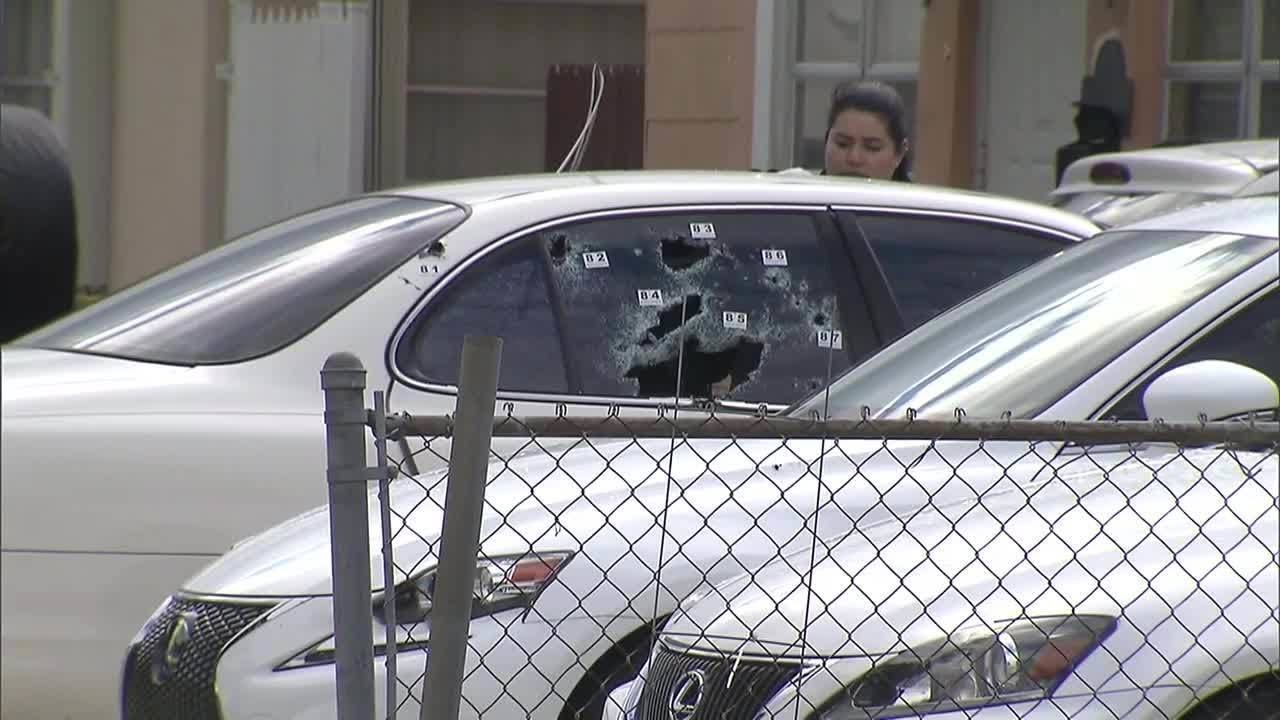 Car burglar shot by victim in Miami, authorities say - YouTube