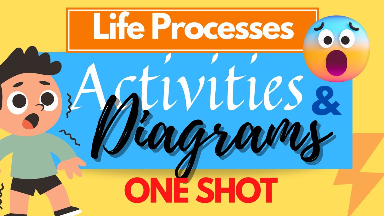 LIFE PROCESSES Complete Activities & Diagrams in One SHOT | CBSE Class ...