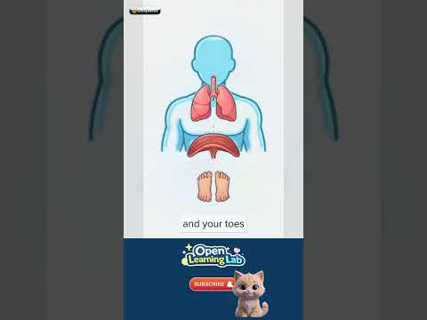 Why Do We Breathe? — Spot it in real life 🚀 #Shorts