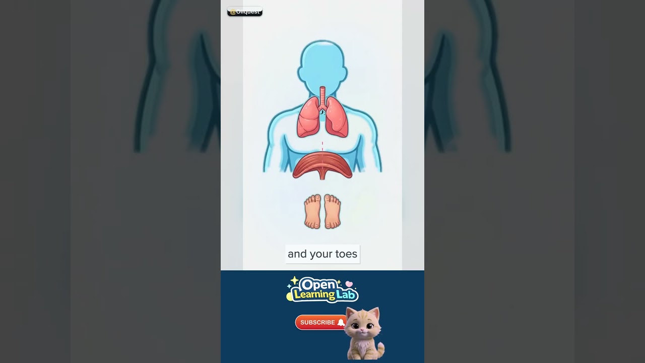 Why Do We Breathe? — Spot it in real life 🚀 #Shorts