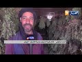 البيض زراعة النعناع إنتاج يقابله غياب الاستثمار في الصناعات التحويلية البيض زراعة النعناع إنتاج يقابله غياب الاستثمار في الصناعات التحويلية