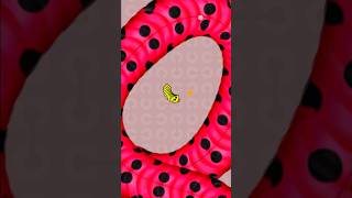 Worms zone io 🐍 #wormszone #shortsviral #shortsfeed