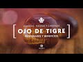 Ojo de Tigre ¿Para qué Sirve? ☯️ Propiedades y Beneficios