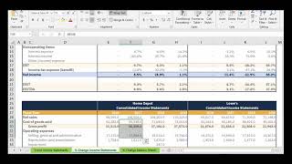 Horizontal Analysis | Financial Statement Analysis Net Worth