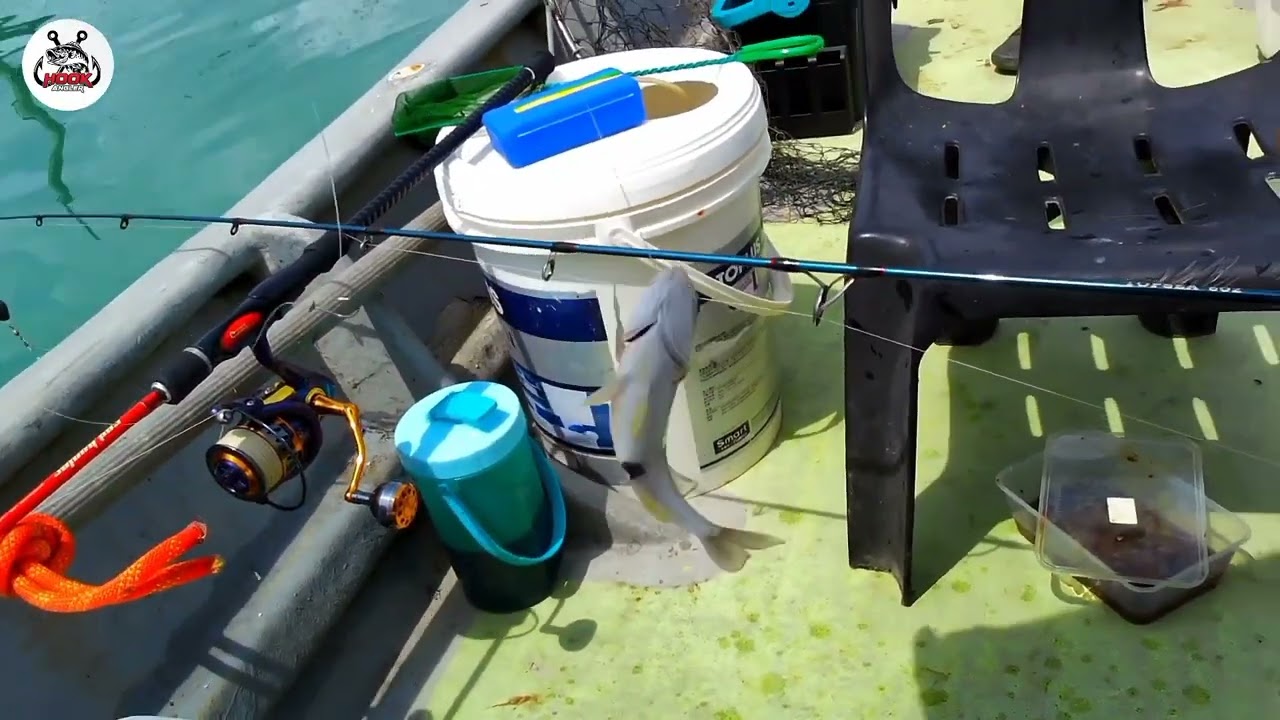 Tebal Pipi Kukup tak mengecewakan...