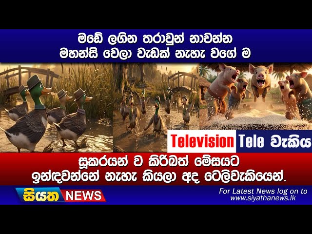 මඩේ ලගින තරාවුන් නාවන්න මහන්සි වෙලා වැඩක් නැහැ වගේ ම සූකරයන් ව කිරිබත් මේසයට ඉන්ඳවන්නේ නැහැ කියලා
