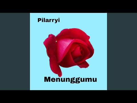 NOAH - Menunggumu (Live at Amsterdam)