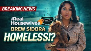 Celebrity Drew Sidora Facing Homelessness!? Custody LOSS & Income Gap EXPOSED Net Worth