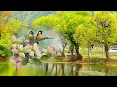 어린이 노래 (Children's song) - 나운영 (Na Unyoung) Piano