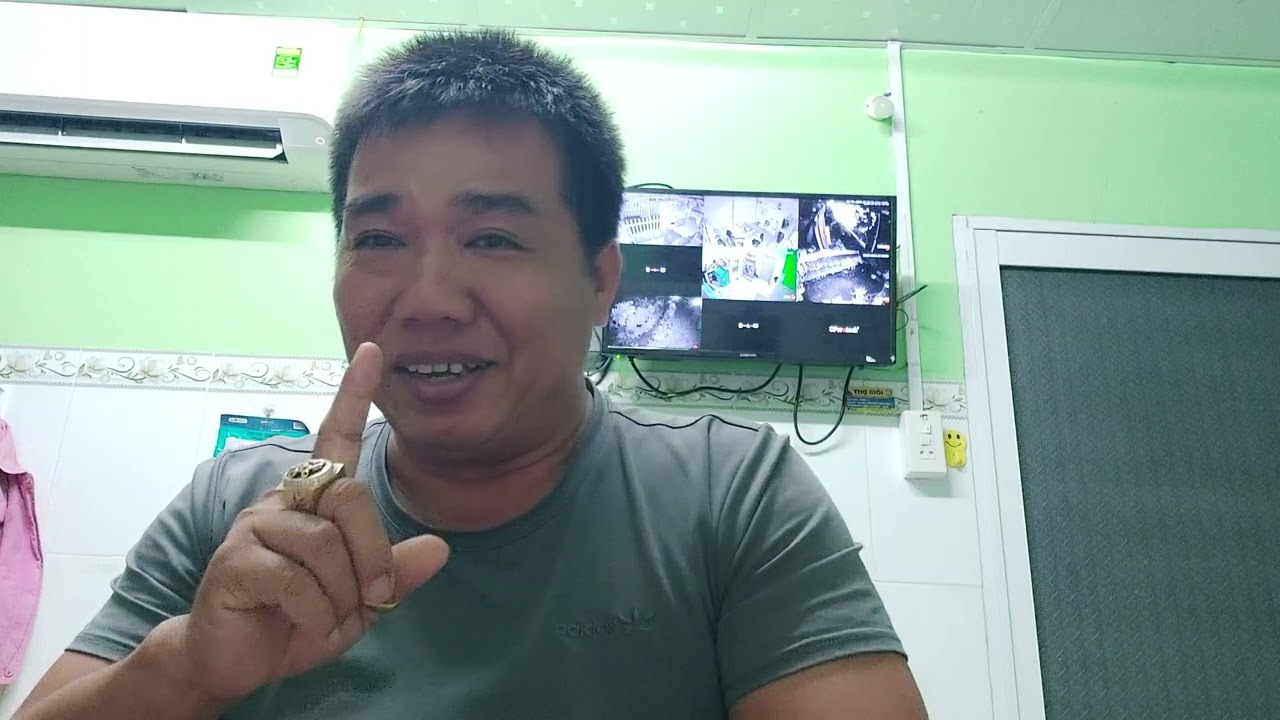 cách tìm gà mái hay về làm giống như thế nào