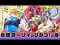 オレカTV！第9回「魔姫カーリィのひみつ！の巻」