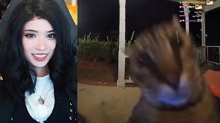 Emiru Watches Daily Dose of Internet In Lune Cosplay
