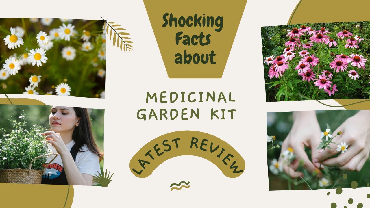 🌿 Medicinal Garden Kit Review: Is It Worth It? 🌱LATEST REVIEW