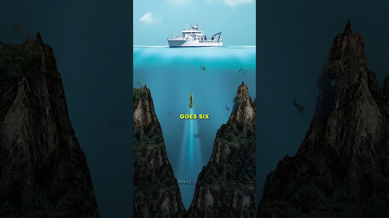 Earth Has No Bumps w/ Neil deGrasse Tyson