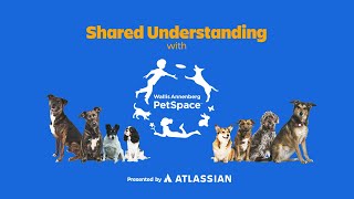 Celebrity How building a shared understanding rescues hundreds of animals a year Net Worth