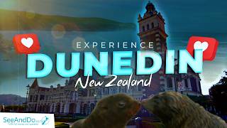 Dunedin NZ Travel Guide | Historic Streets & Coastal Beauty