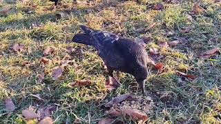 Jaco and the youngsters 💕💕