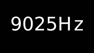Speaker Sound Test 9025Hz | Speaker cleaner sound