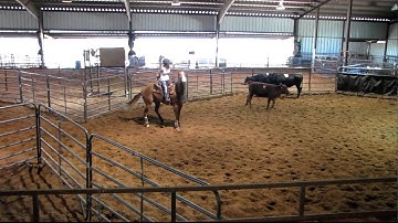 Valley View Ranch  - Kitty sorting with youth -   ***For info, price, etc., go to our website***