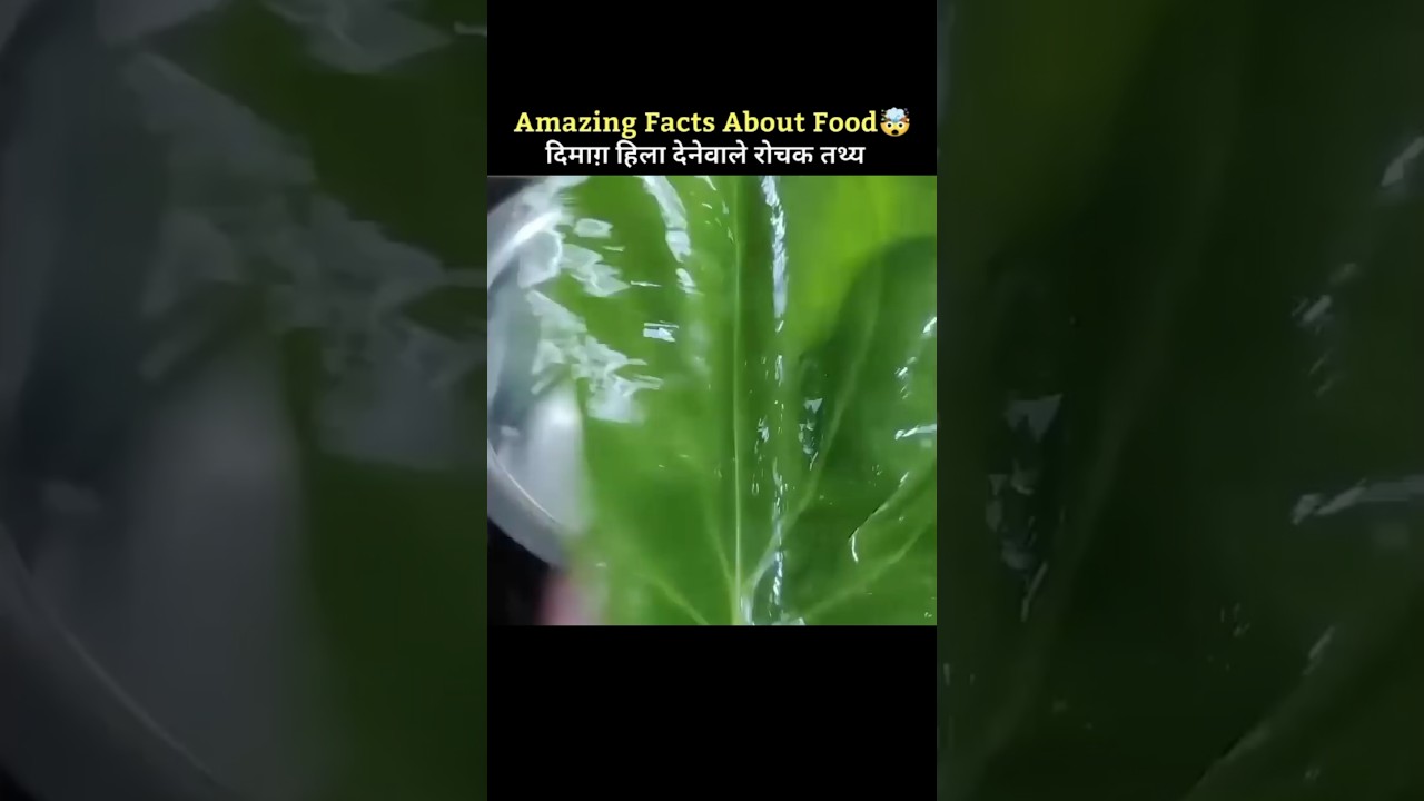 Crazy Fact About betel leaf 