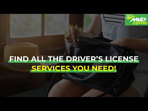 Find All the Driver’s License Services You Need!