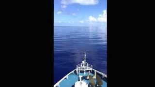 Carnival Pride heading south from Port Baltimore June 2015