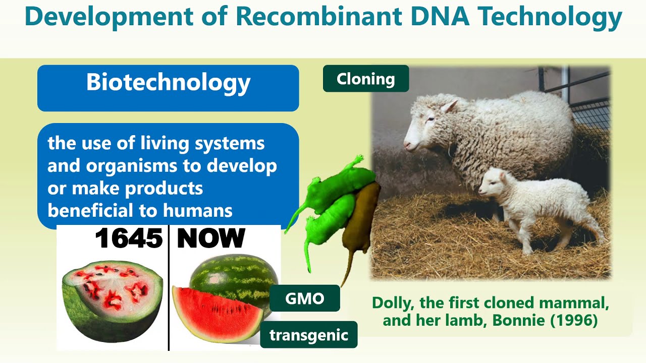 Klug's Concepts of Genetics Chapter 1
