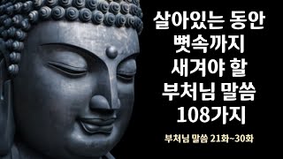#3 살아있는 동안 뼛속까지 새겨야 할 부처님 말씀 108가지 - 석가모니 부처님 말씀ㅣ불교명언ㅣ인생조언ㅣ깨달음