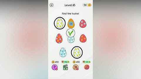 Braindom Level 85 Find the twins!