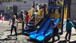 A Day in the Life of P.S. 217