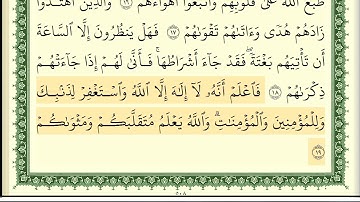 سورة محمد - أيمن سويد Surah Muhammad - Ayman Sweid