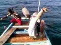 صيد العصاري 