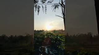 Download Lagu Selamat Hari Sabtu MP3