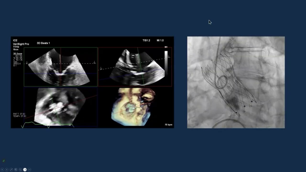 Dr. Gilbert Tang's Tips and Tricks on Optimizing Powerpoint (PPTX) Presentations