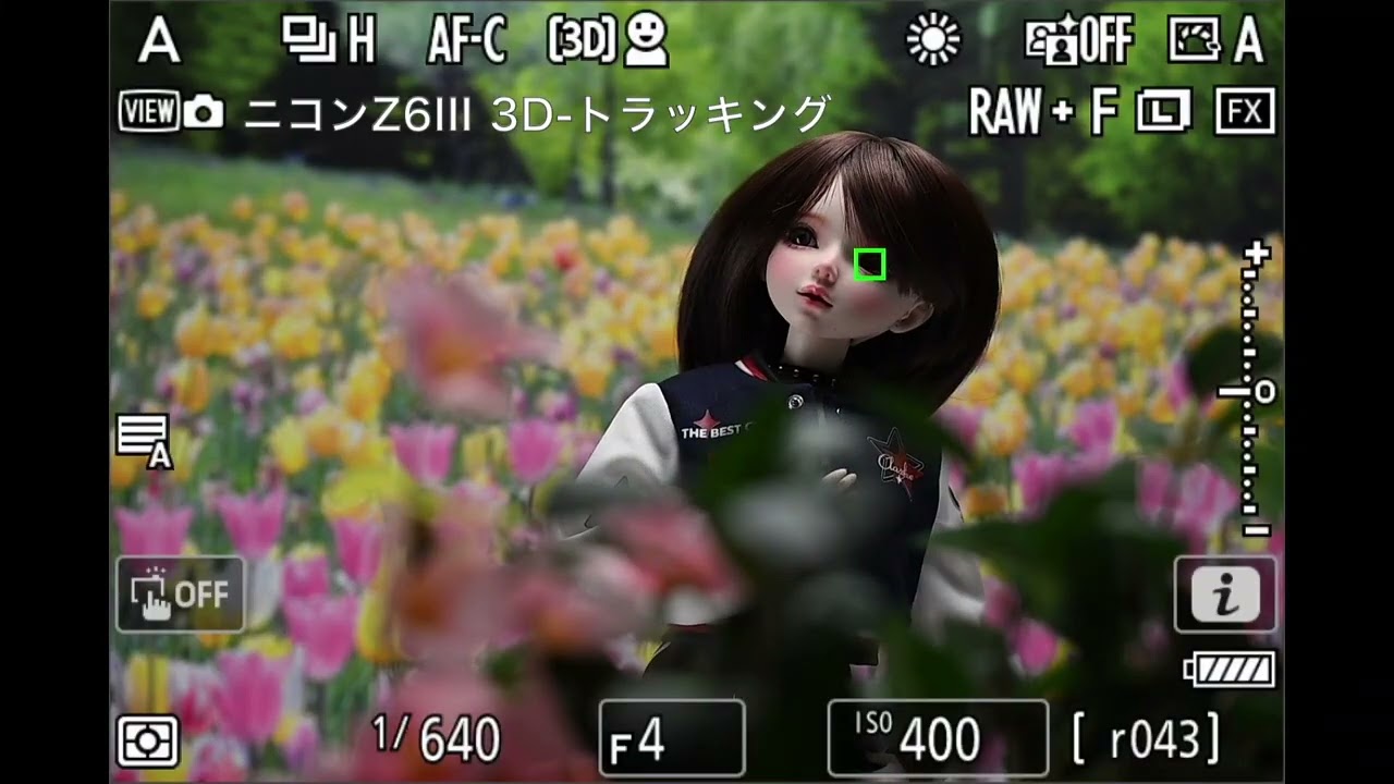 認識AFトラッキング性能比較】ニコン Z6III（人物認識） - YouTube