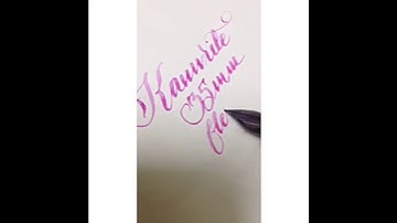 Wetnoodle flexnib flexi nib