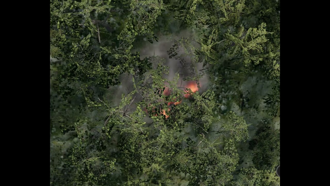 Henri Toivonen Flashbacks-Beamng.Drive