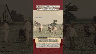 Teknik penyiapan perkebunan jadul tahun 1920an #shortsvideo #sejarahindonesia
