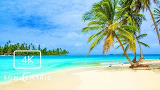 Classroom Focus Background – Tropical Beach Ambience with Chill Music for Reading & Study 🌴🌊 4K