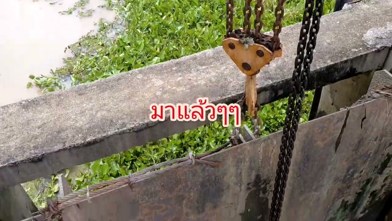 พาชมผักตบชวากับฝายแม่น้ำยาว
