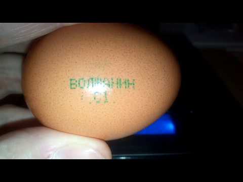 ВЗВЕШИВАЕМ ЯЙЦА ВОЛЖАНИН